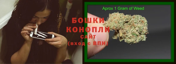 стаф Пестово